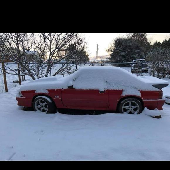 Meet your Posher, Shaun - Picture 1 of 1